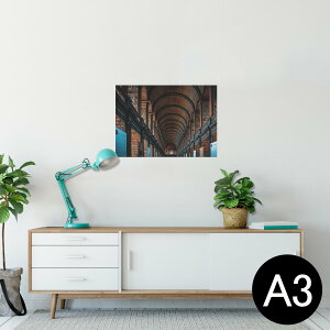 |X^[ EH[XebJ[ V[XebJ[  297×420mm A3 ʐ^ tHg  CeA   wall sticker poster 023515 z@{I@ʐ^