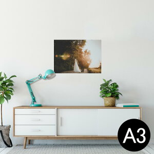 |X^[ EH[XebJ[ V[XebJ[  297×420mm A3 ʐ^ tHg  CeA   wall sticker poster 023534 EGfBO@Jbv@ʐ^