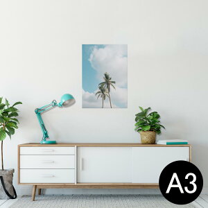 |X^[ EH[XebJ[ V[XebJ[  297×420mm A3 ʐ^ tHg  CeA   wall sticker poster 023646 V̖؁@ā@