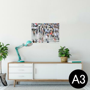 |X^[ EH[XebJ[ V[XebJ[  297×420mm A3 ʐ^ tHg  CeA   wall sticker poster 023658 f@ʐ^@i@l