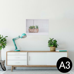 |X^[ EH[XebJ[ V[XebJ[  297×420mm A3 ʐ^ tHg  CeA   wall sticker poster 023734 A@Aؔ@ʐ^