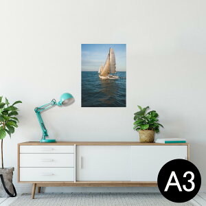 |X^[ EH[XebJ[ V[XebJ[  297×420mm A3 ʐ^ tHg  CeA   wall sticker poster 023757 bg@ʐ^@i