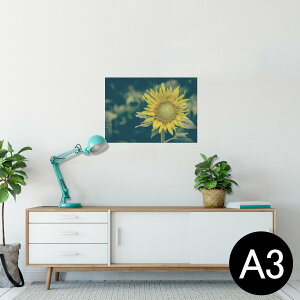 |X^[ EH[XebJ[ V[XebJ[  297×420mm A3 ʐ^ tHg  CeA   wall sticker poster 023850 ԁ@t[@Ђ܂