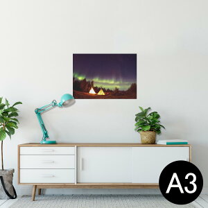 |X^[ EH[XebJ[ V[XebJ[  297×420mm A3 ʐ^ tHg  CeA   wall sticker poster 025586 Lv@I[@i@X