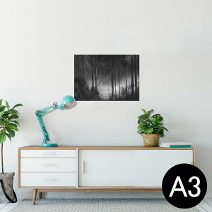 |X^[ EH[XebJ[ V[XebJ[  297×420mm A3 ʐ^ tHg  CeA   wall sticker poster 025587 Xс@mN@