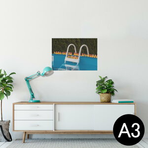|X^[ EH[XebJ[ V[XebJ[  297×420mm A3 ʐ^ tHg  CeA   wall sticker poster 025719 v[@Ђ@