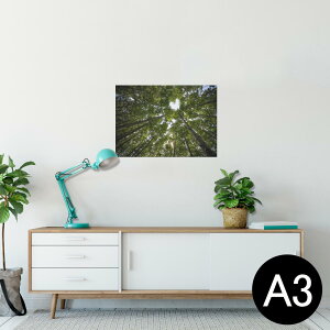 |X^[ EH[XebJ[ V[XebJ[  297×420mm A3 ʐ^ tHg  CeA   wall sticker poster 025739 R@Xс@؁@n[g