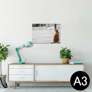 |X^[ EH[XebJ[ V[XebJ[  297×420mm A3 ʐ^ tHg  CeA   wall sticker poster 025763 @lR@i