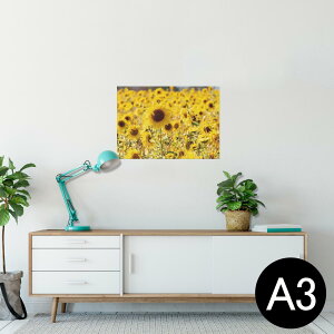 |X^[ EH[XebJ[ V[XebJ[  297×420mm A3 ʐ^ tHg  CeA   wall sticker poster 025772 ԁ@Ђ܂蔨@