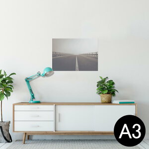 |X^[ EH[XebJ[ V[XebJ[  297×420mm A3 ʐ^ tHg  CeA   wall sticker poster 025812 H@i