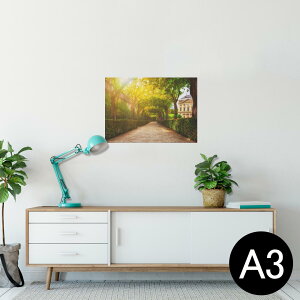 |X^[ EH[XebJ[ V[XebJ[  297×420mm A3 ʐ^ tHg  CeA   wall sticker poster 025817 ؁@@z