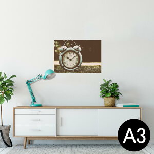 |X^[ EH[XebJ[ V[XebJ[  297×420mm A3 ʐ^ tHg  CeA   wall sticker poster 025896 ڊo܂v@AeB[N@