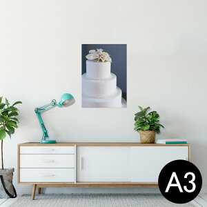 |X^[ EH[XebJ[ V[XebJ[  297×420mm A3 ʐ^ tHg  CeA   wall sticker poster 025975 XC[c@EFfBOP[L@fR[V