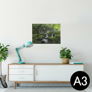 |X^[ EH[XebJ[ V[XebJ[  297×420mm A3 ʐ^ tHg  CeA   wall sticker poster 025978 Xс@@R@