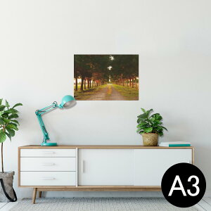 |X^[ EH[XebJ[ V[XebJ[  297×420mm A3 ʐ^ tHg  CeA   wall sticker poster 026007 i@ؓ@