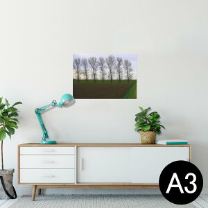 ポスター ウォールステッカー シール式ステッカー 飾り 297×420mm A3 写真 フォト 壁 インテリア おしゃれ 剥がせる wall sticker poster 026013 木 自然 風景 空