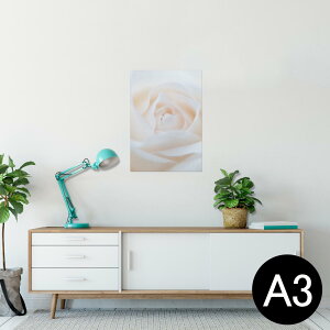 �|�X�^�[ �E�H�[���X�e�b�J�[ �V�[�����X�e�b�J�[ ���� 297×420mm A3 �ʐ^ �t�H�g �� �C���e���A ������� �������� wall sticker poster 005080 ���@�K�N�@�ʐ^