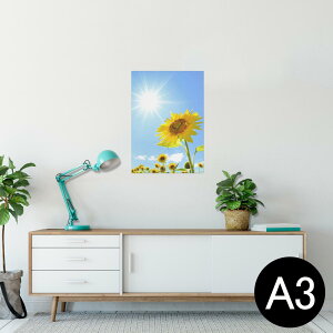 |X^[ EH[XebJ[ V[XebJ[  297×420mm A3 ʐ^ tHg  CeA   wall sticker poster 005089 Ђ܂@ʐ^@z