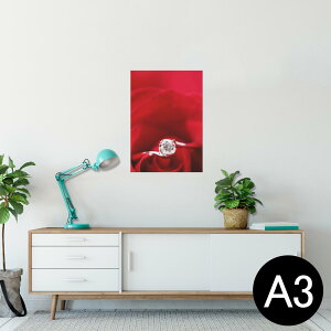 |X^[ EH[XebJ[ V[XebJ[  297×420mm A3 ʐ^ tHg  CeA   wall sticker poster 005136 ԁ@wց@KN