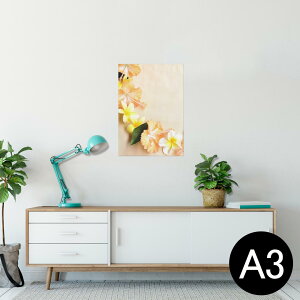 |X^[ EH[XebJ[ V[XebJ[  297×420mm A3 ʐ^ tHg  CeA   wall sticker poster 005419 ʐ^@ԁ@@