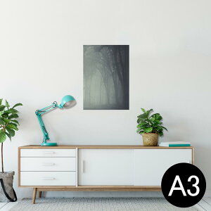 |X^[ EH[XebJ[ V[XebJ[  297×420mm A3 ʐ^ tHg  CeA   wall sticker poster 005899 ʐ^@X@