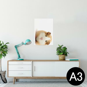 |X^[ EH[XebJ[ V[XebJ[  297×420mm A3 ʐ^ tHg  CeA   wall sticker poster 006036 Aj} ʐ^@@nX^[