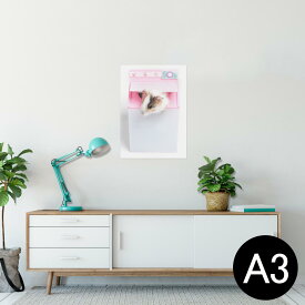 ポスター ウォールステッカー シール式ステッカー 飾り 297×420mm A3 写真 フォト 壁 インテリア おしゃれ 剥がせる wall sticker poster 006501 アニマル 写真　ハムスター　動物