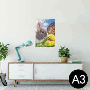 |X^[ EH[XebJ[ V[XebJ[  297×420mm A3 ʐ^ tHg  CeA   wall sticker poster 006581 ʐ^@@