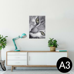 |X^[ EH[XebJ[ V[XebJ[  297×420mm A3 ʐ^ tHg  CeA   wall sticker poster 007896 ʐ^@L@˂@mN