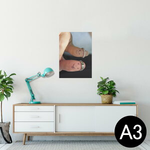 |X^[ EH[XebJ[ V[XebJ[  297×420mm A3 ʐ^ tHg  CeA   wall sticker poster 008128 ʐ^@wց@l@