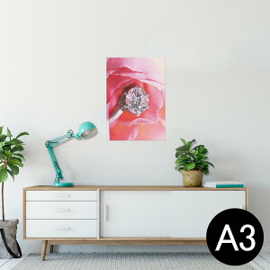 |X^[ EH[XebJ[ V[XebJ[  297×420mm A3 ʐ^ tHg  CeA   wall sticker poster 008706 ʐ^@ԁ@@wց@_C