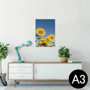 |X^[ EH[XebJ[ V[XebJ[  297×420mm A3 ʐ^ tHg  CeA   wall sticker poster 009265 @Ђ܂@ʐ^