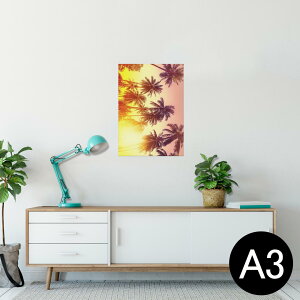 |X^[ EH[XebJ[ V[XebJ[  297×420mm A3 ʐ^ tHg  CeA   wall sticker poster 011302 ā@V̖؁@[