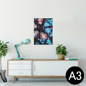 |X^[ EH[XebJ[ V[XebJ[  297×420mm A3 ʐ^ tHg  CeA   wall sticker poster 012785 @؋@Y