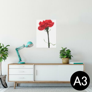 |X^[ EH[XebJ[ V[XebJ[  297×420mm A3 ʐ^ tHg  CeA   wall sticker poster 012928 ̓@J[l[V@