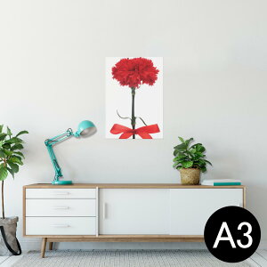 ポスター ウォールステッカー シール式ステッカー 飾り 297×420mm A3 写真 フォト 壁 インテリア おしゃれ 剥がせる wall sticker poster 012929 母の日 カーネーション 花