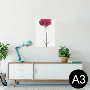 |X^[ EH[XebJ[ V[XebJ[  297×420mm A3 ʐ^ tHg  CeA   wall sticker poster 012933 ̓@J[l[V@