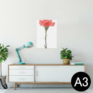 |X^[ EH[XebJ[ V[XebJ[  297×420mm A3 ʐ^ tHg  CeA   wall sticker poster 012935 ̓@J[l[V@