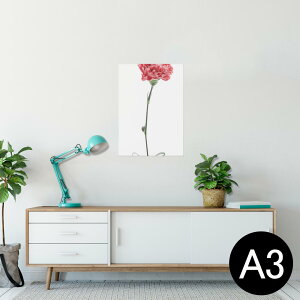 |X^[ EH[XebJ[ V[XebJ[  297×420mm A3 ʐ^ tHg  CeA   wall sticker poster 012937 ̓@J[l[V@