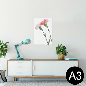 |X^[ EH[XebJ[ V[XebJ[  297×420mm A3 ʐ^ tHg  CeA   wall sticker poster 012938 ̓@J[l[V@