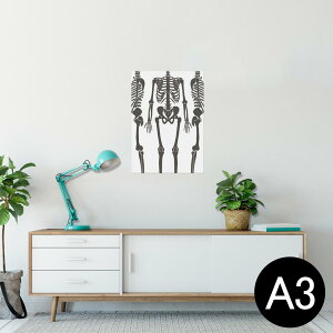 |X^[ EH[XebJ[ V[XebJ[  297×420mm A3 ʐ^ tHg  CeA   wall sticker poster 013822 [@͌^
