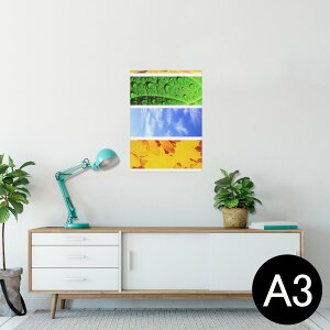 |X^[ EH[XebJ[ V[XebJ[  297×420mm A3 ʐ^ tHg  CeA   wall sticker poster 014084 ā@Ђ܂@