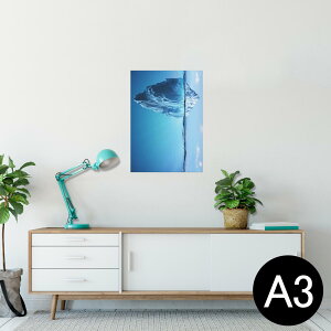 |X^[ EH[XebJ[ V[XebJ[  297×420mm A3 ʐ^ tHg  CeA   wall sticker poster 014978 iF@R@i@CXg@_@C