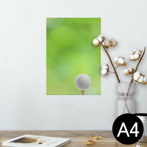 |X^[ EH[XebJ[ V[XebJ[  210×297mm A4 ʐ^ tHg  CeA   wall sticker poster 000218 St@Vbg@Ő