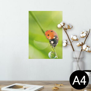 �|�X�^�[ �E�H�[���X�e�b�J�[ �V�[�����X�e�b�J�[ ���� 210×297mm A4 �ʐ^ �t�H�g �� �C���e���A ������� �������� wall sticker poster 000820 �Ă�Ƃ����@��