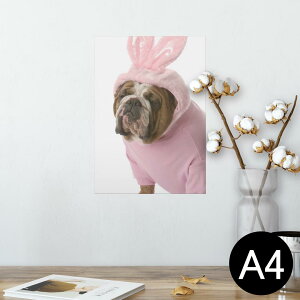 ポスター ウォールステッカー シール式ステッカー 飾り 210×297mm A4 写真 フォト 壁 インテリア おしゃれ 剥がせる wall sticker poster 001083 犬 うさぎ