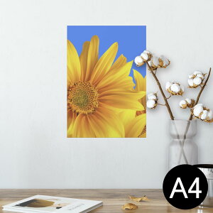 |X^[ EH[XebJ[ V[XebJ[  210×297mm A4 ʐ^ tHg  CeA   wall sticker poster 001397 Ђ܂