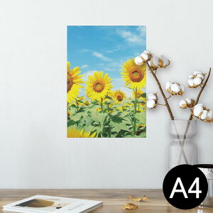 |X^[ EH[XebJ[ V[XebJ[  210×297mm A4 ʐ^ tHg  CeA   wall sticker poster 002501 ԁ@Ђ܂@ʐ^