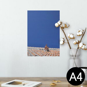 |X^[ EH[XebJ[ V[XebJ[  210×297mm A4 ʐ^ tHg  CeA   wall sticker poster 002774 @V[T[@ʐ^