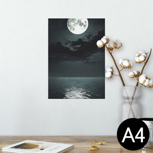 |X^[ EH[XebJ[ V[XebJ[  210×297mm A4 ʐ^ tHg  CeA   wall sticker poster 003304 N[ i@iF@C